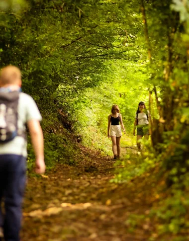 GR365 à Chailland